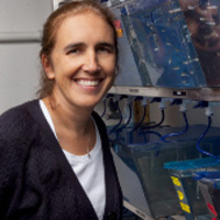Anna Huttenlocher, MD